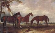 unknow artist Some Horses